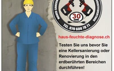 Haus Feuchte Diagnose – Bei Feuchtigkeit im Keller und Schimmel im Haus