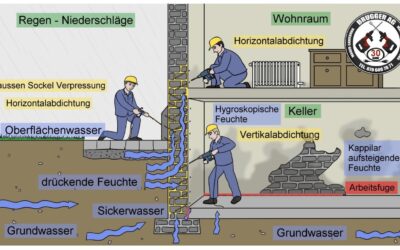 Kann ein feuchter Keller zur Kellerwohnung werden? Beratung für Kellersanierung