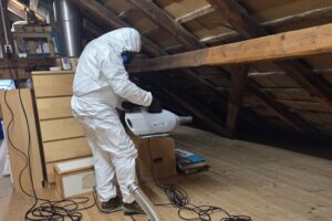 Schimmelreset Sporen Eliminierung über die Luft, an Böden, Wänden und Decken