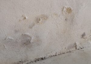 fehlende Kellerabdichtung innen