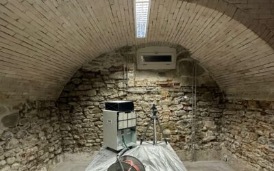 Schimmel im Keller – was tun dagegen