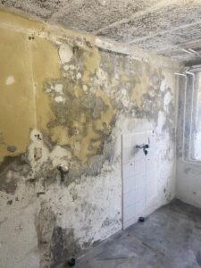 Feuchte und zersetze Kellerwand