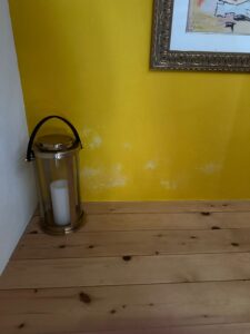 Ursachen für feuchte Mauern