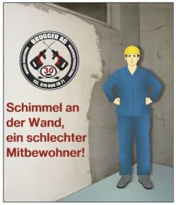 Schimmel an der Wand, ist ein schlechter Mitbewohner