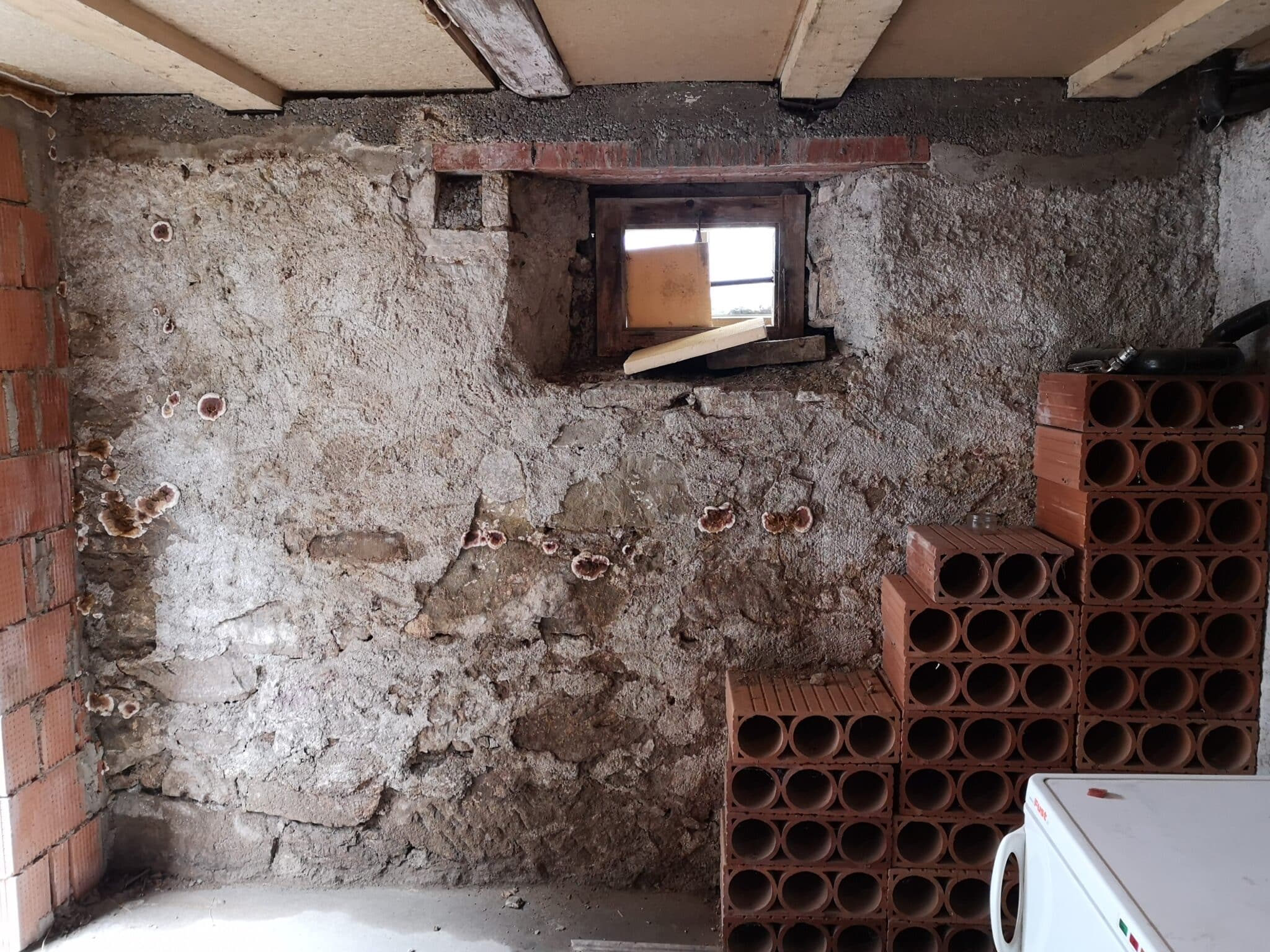 Brugger AG Mauer-Sanierung Folgen feuchter Wände – warum Nässe im Haus so gefährlich ist