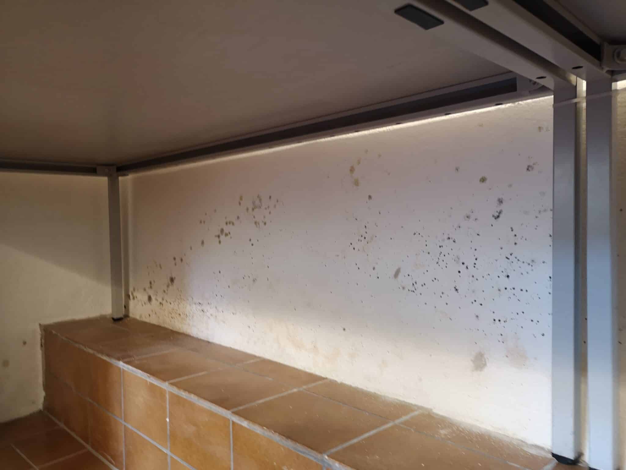 Schimmel und Gesundheit. Schimmel an der Wand