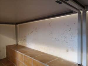 Schimmel an der Wand, ein Oberflächenproblem