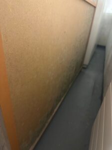 Schimmel an Wänden Brugger AG Mauer-Sanierung