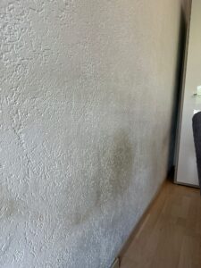 Schimmel an Wänden
