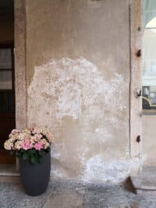Eingang mit Sichtbarer aufsteigender Feuchtigkeit an der Wand