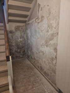 Ursachen Bauwerksfeuchte: erkennen, prüfen, beheben