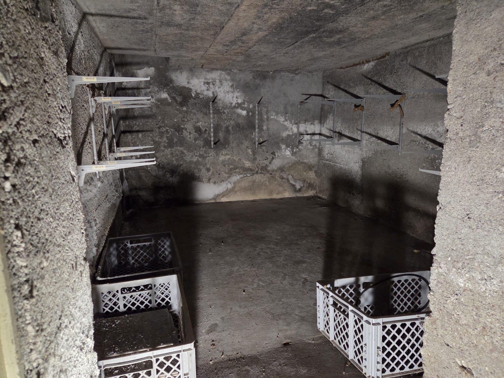 Bautenschutz im Altbau