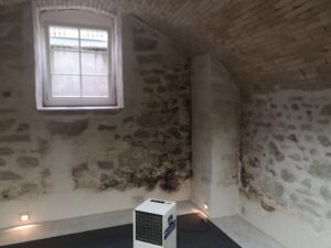 Feuchteschäden typischerweise entwickeln