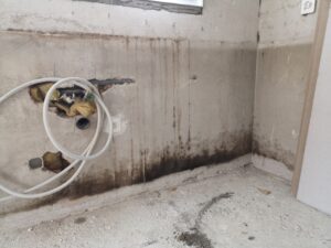 Schimmel im Keller entfernen und vorbeugen