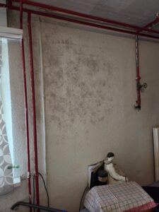 Schimmelbefall an Kellerwand