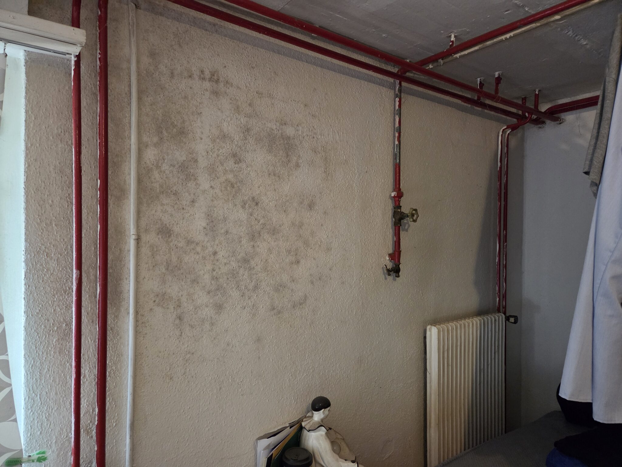 Hauseigentümer Beratung bei Schimmel