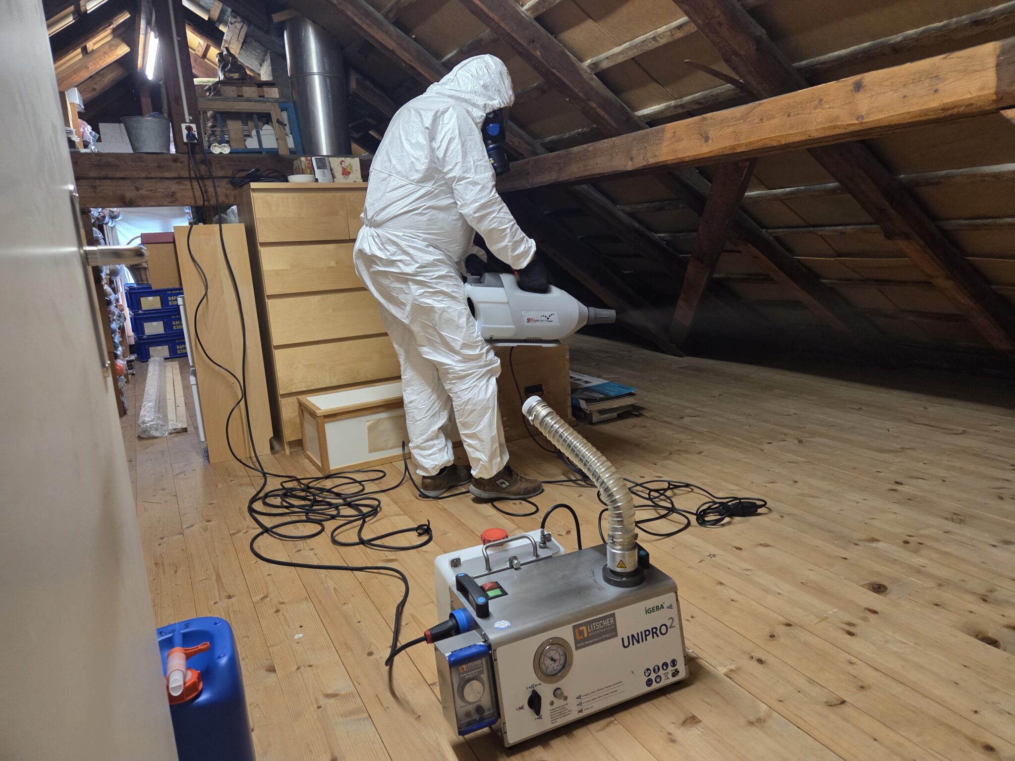 Beratung bei Schimmel