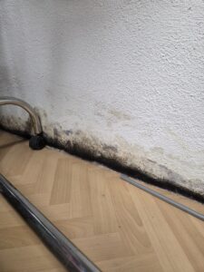 Schwarzer Schimmel im Boden Randbereich