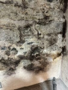 Bruchsteinmauer mit schwarzem Schimmel