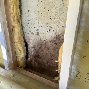 Schimmel ist mehr als ein optisches Problem