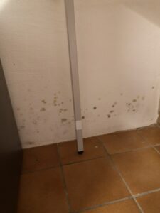 Keller mit Schimmelbefall an der Wand