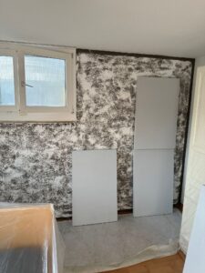 Feuchtigkeitsflecken an Wand – Ursachen erkennen und nachhaltig beseitigen