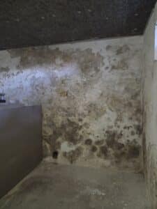 Ist Ihr Keller feucht, während die Wohnräume trocken bleiben? Das liegt an der Bauphysik