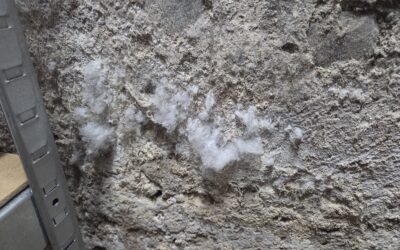 Salzausblühungen Keller: Ursachen, Gefahren & Sanierung