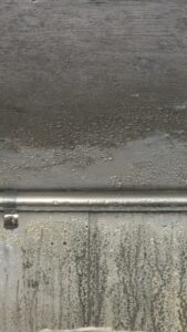 Typische Ursachen für Schimmelbefall im Gebäude ist Kondensat