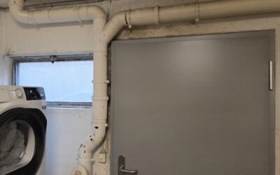 Schimmel Beratung Behandlung