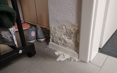 Feuchteschäden Versicherung: Wann zahlt wer? (Schweiz)