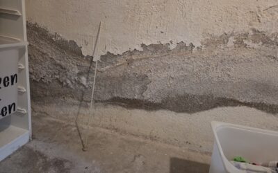 Fern Haus feuchte Diagnose