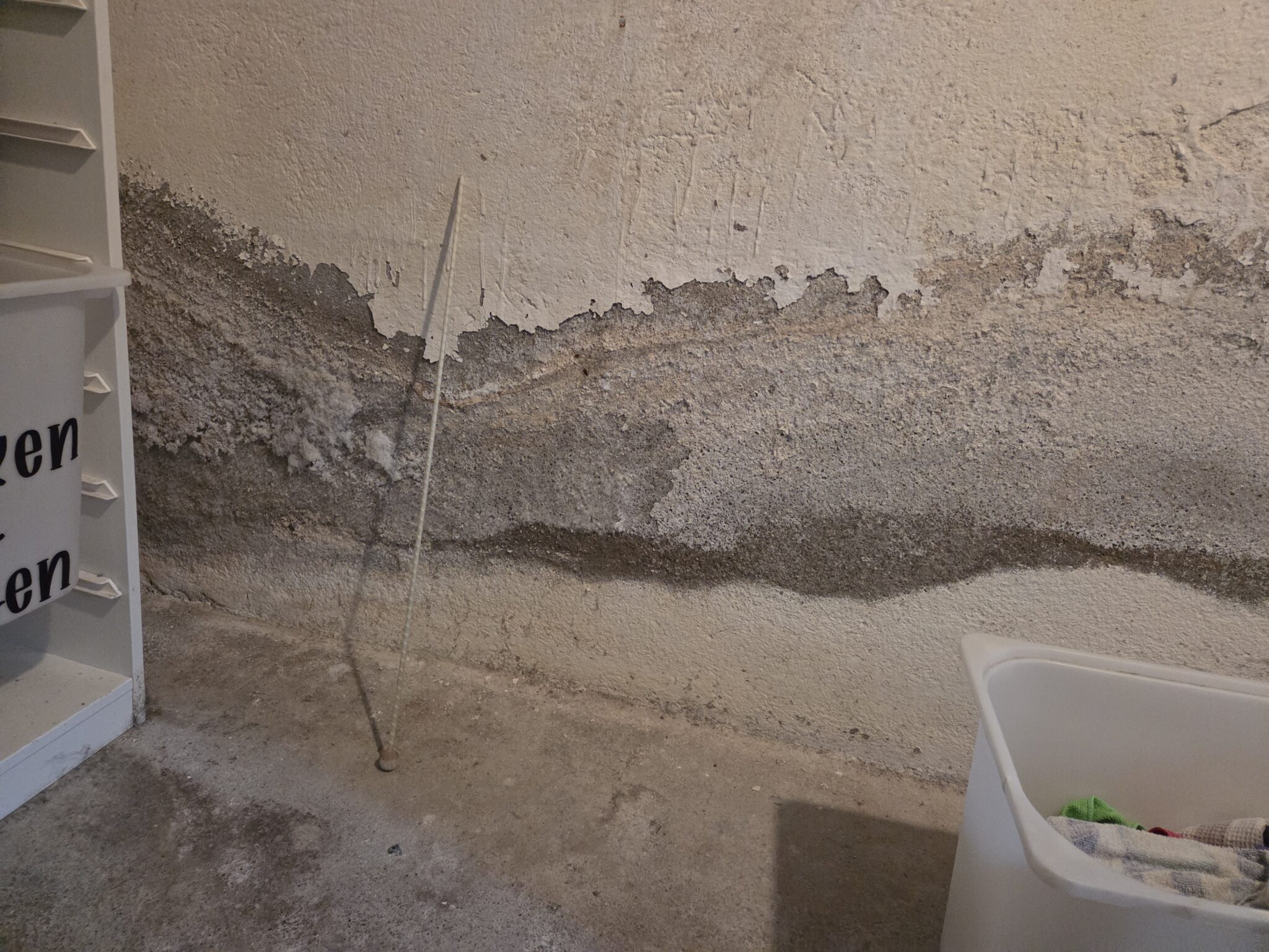 Fern Haus feuchte Diagnose – Nachhaltige Beurteilung