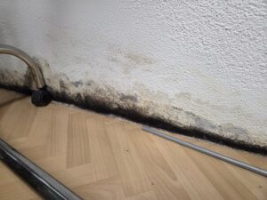 Schimmel im Keller nach Wasserschaden