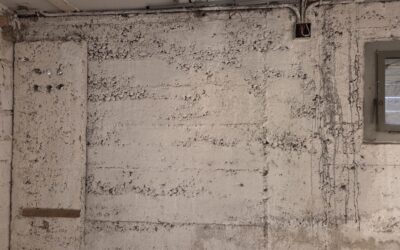 Injektionsharz vs Injektionscreme: 5 Fakten für deine Mauersanierung