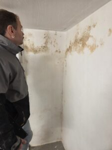 Schimmelbefall erkennen und nachhaltig beseitigen