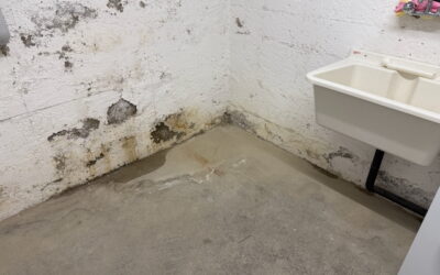 Feuchter Keller Hauskauf: 7 Warnsignale & was du tun musst