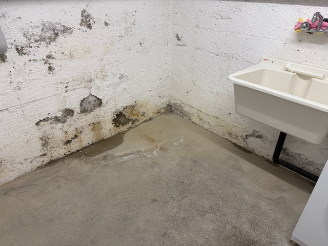 feuchter Keller beim Hauskauf ein feuchter Keller beim Hauskauf kann schnell zum Albtraum