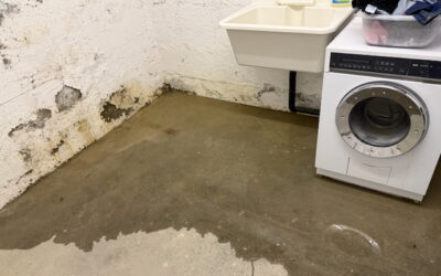 3 Sofortmassnahmen bei Wassereintritt Keller Regen: So schützt du dein Zuhause