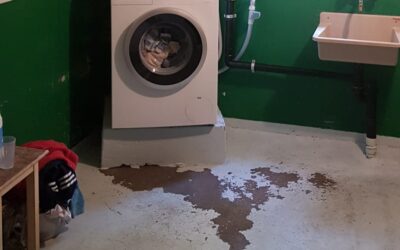 Betonfarbe Keller Untergrund: 5 Tipps für den richtigen Anstrich 2026