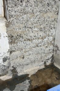 Eine professionelle Mauerentfeuchtung Betonwand ist entscheidend, wenn du Feuchtigkeit in deinem Keller oder an anderen Betonbauteilen feststells