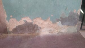 Aufsteigende Feuchtigkeit im Altbau