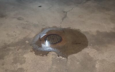 Rückstauklappe Keller: 5 Gründe für zuverlässigen Schutz vor Überschwemmung