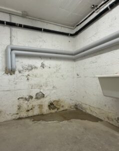 Wassereintritt Keller Regen die Ursache muss gefunden werden