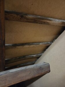 Schimmel entfernen, Schimmelpilze belasten definitiv auch die Raumluft