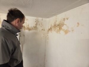 Die Ursache für SchimmelbefallSchimmel entsteht durch eine Kombination über Temperatur, Nährboden und Feuchtigkeit