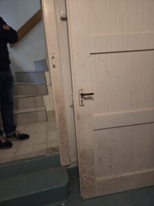 Schimmel ein Oberflächenproblem, die Sporen setzen sich auf Materialien fest und beginnen dort zu wachsen