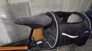 Schimmel auf Gegenständen in der Garage