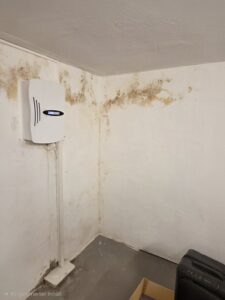 Feuchtigkeit im Keller breitet sich aus