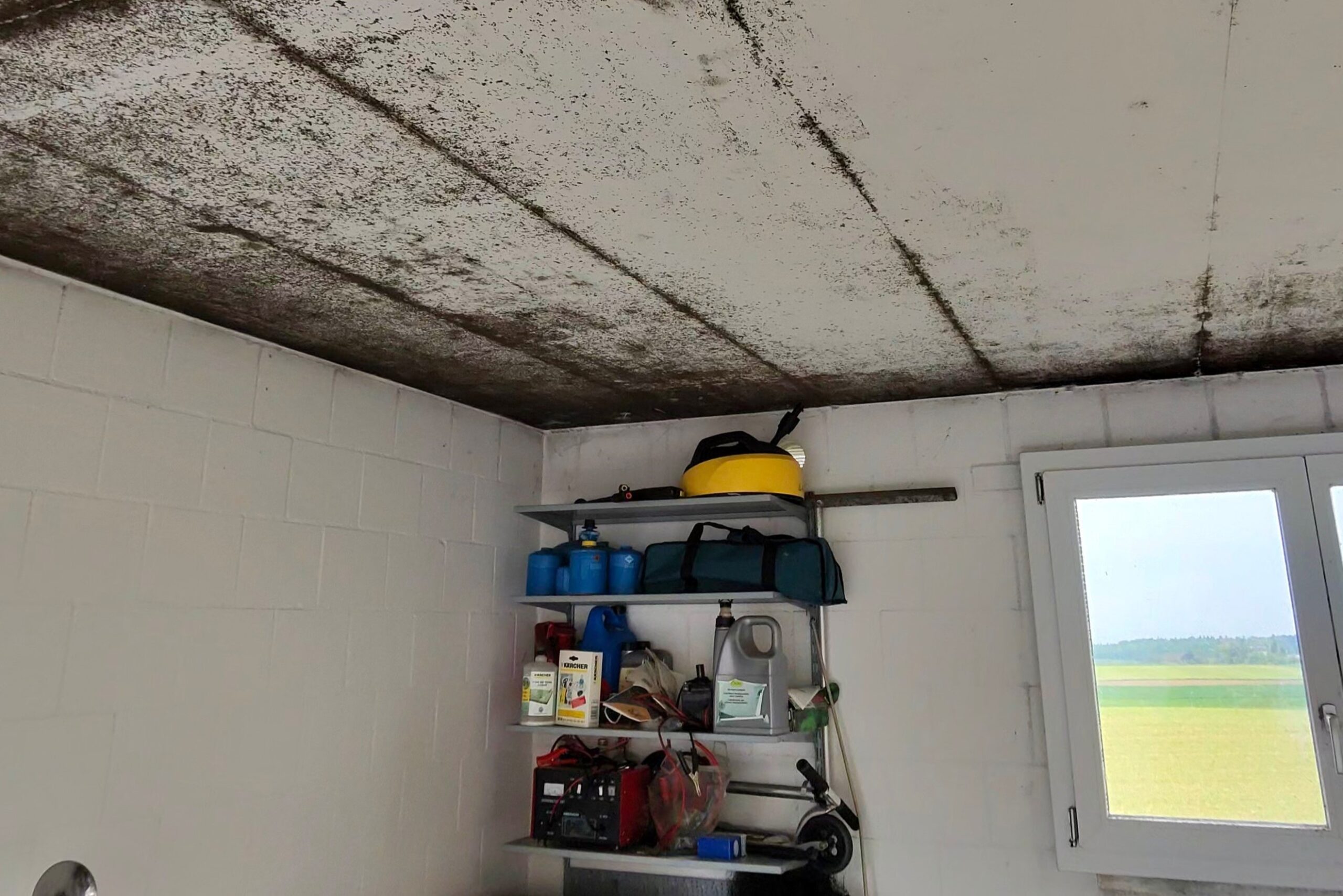Schimmel in der Garage – Ursachen, Risiken und professionelle Lösungen Schimmel in der Garage – Ursachen, Risiken und professionelle Lösungen